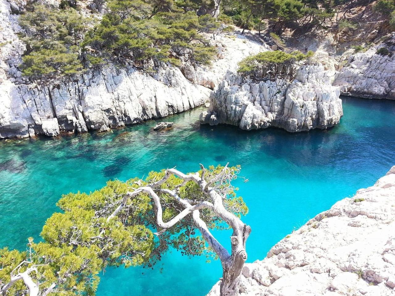Villa Mathaia Cassis Roquefort-la-Bédoule Dış mekan fotoğraf